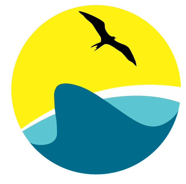 birding excursions mexico by contoy excursions